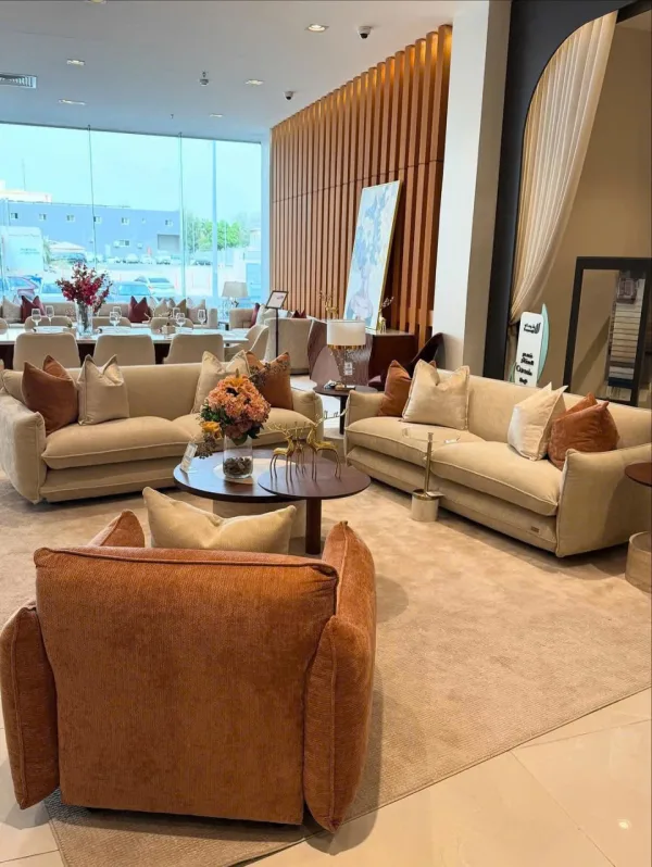 Sofa bọc nệm cao cấp TTBSF 30