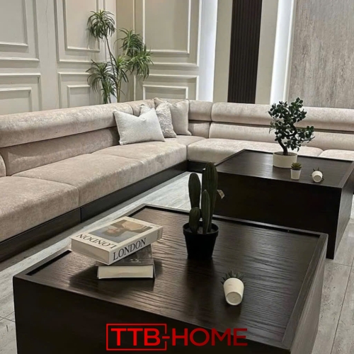 Sofa bọc nệm cao cấp TTBSF 02